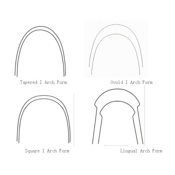 NiTi Thermal Arch Wires
