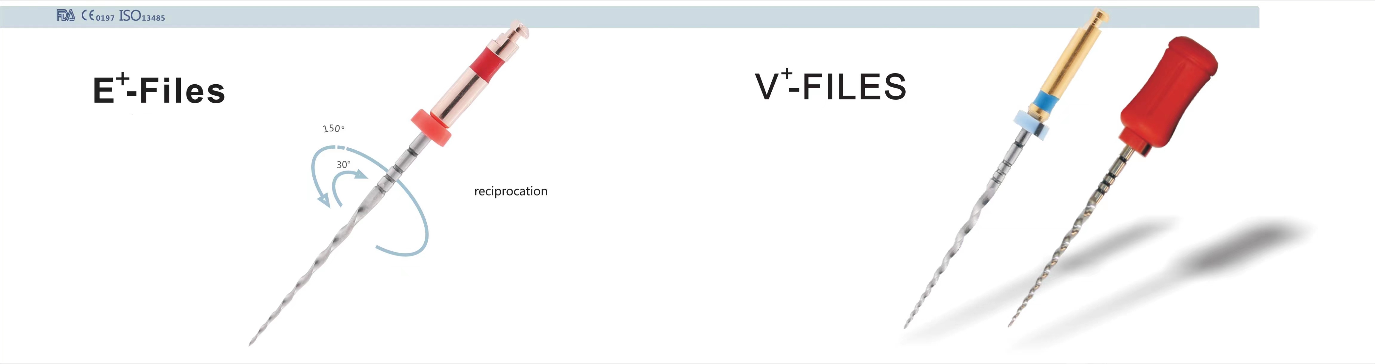 G-StAR Files